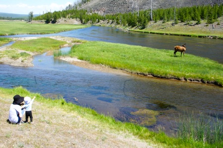 Yellowstone02